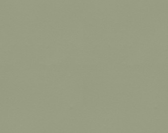 [1001111118_2] Safestep Aqua - 180742 sage